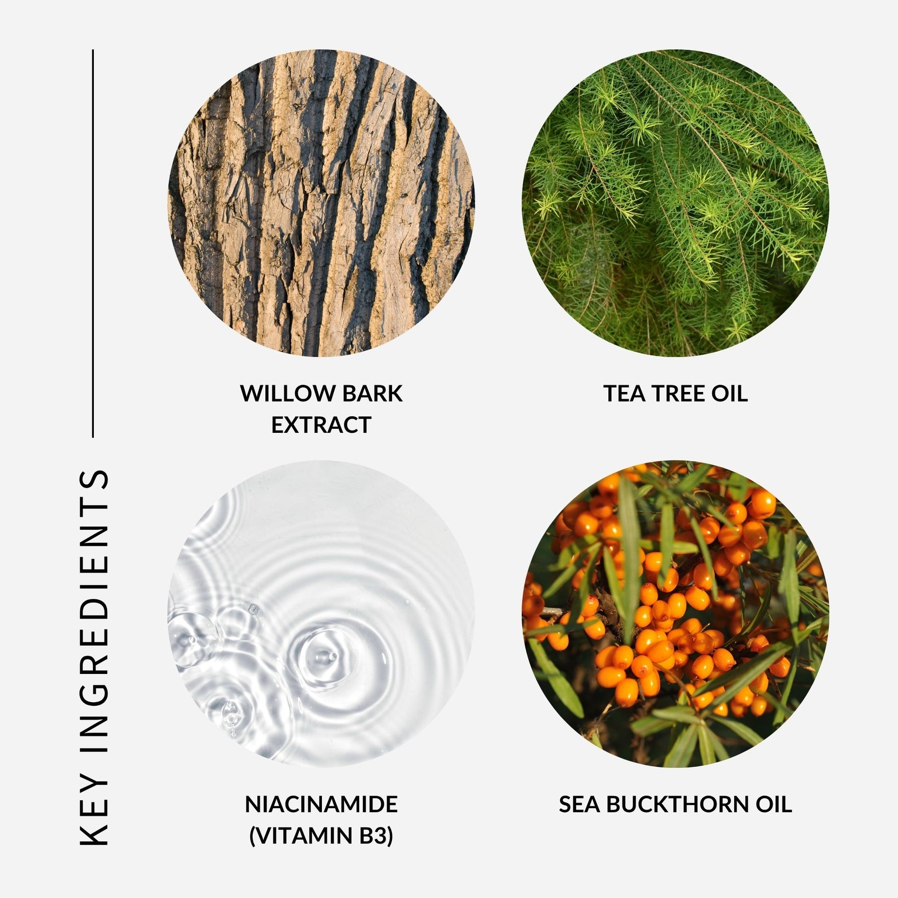 Key Ingredients willow bark extract, tea tree oil, niacinamide (vitamin b3) and sea buckthorn oil with images of ingredients next to their names