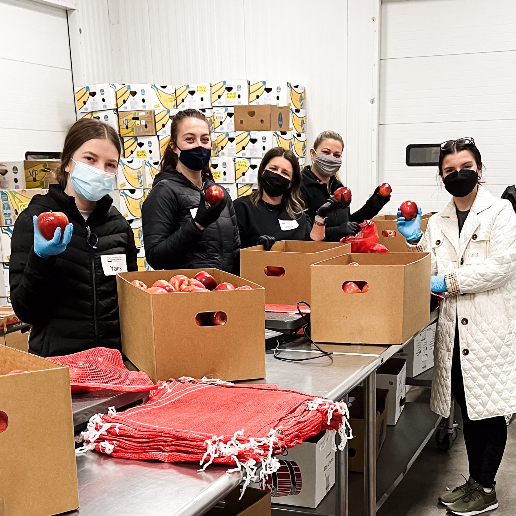 Group of people sorting apples in a warehouse setting